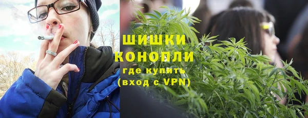 дмт Верея