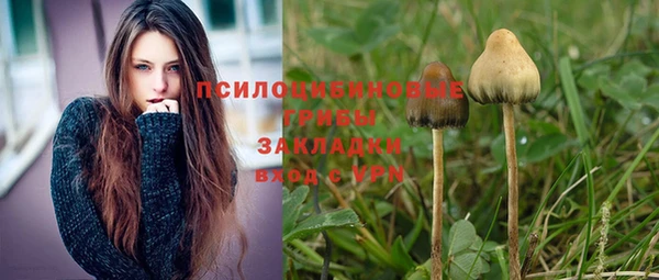 дмт Верея